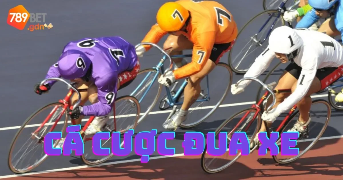 Cá Cược Đua Xe: Hướng Dẫn Cách Chơi Và Các Loại Kèo 2 Cá cược đua xe: Hướng dẫn cách chơi và các loại kèo