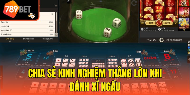 App Chơi Xí Ngầu 789bet - Chơi Game Nhanh Nhận Thưởng Khủng 4 Chia sẻ kinh nghiệm thắng lớn khi đánh xí ngầu