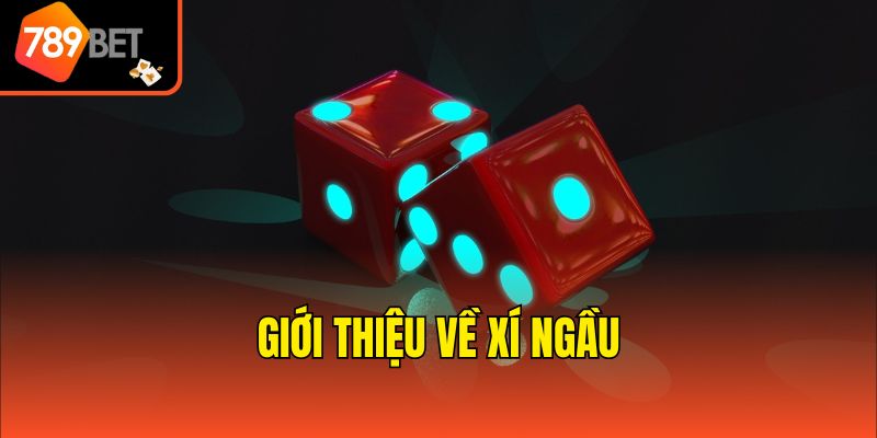 Giới thiệu về Xí ngầu