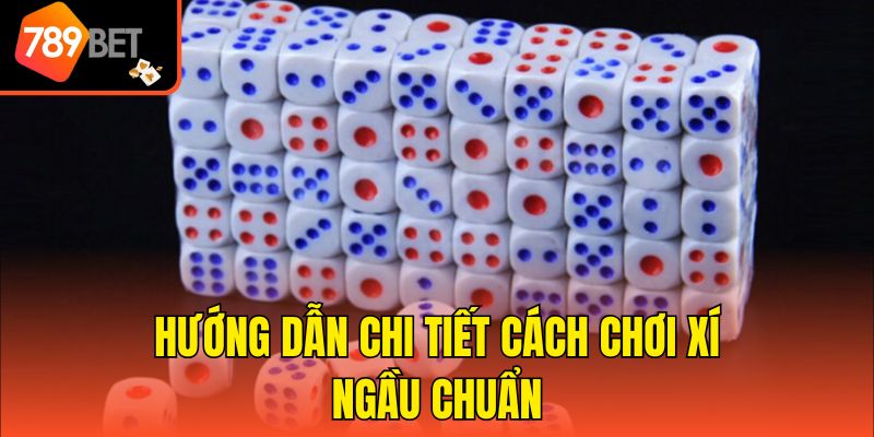 Cách Chơi Xí Ngầu Cho Người Mới - Cơ Hội Kiếm Lợi Nhuận Cao 3 Hướng dẫn chi tiết cách chơi xí ngầu chuẩn