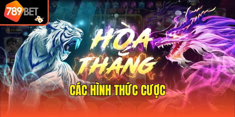 Các hình thức cược