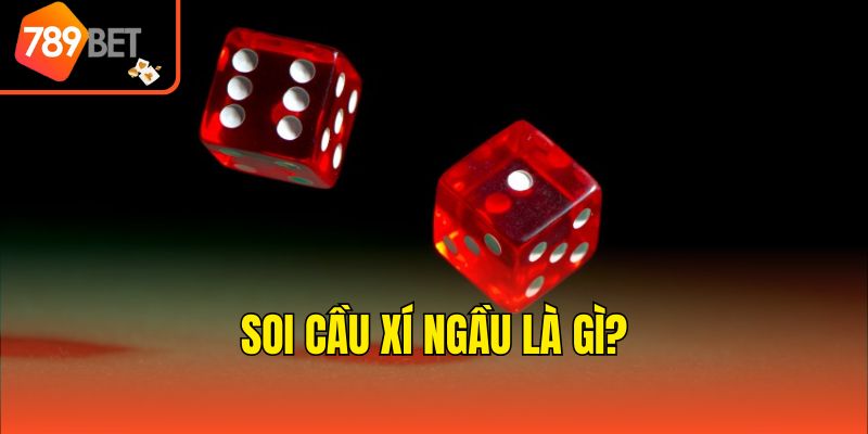 Soi cầu xí ngầu là gì?