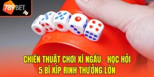 Chiến Thuật Chơi Xí Ngầu - Học Hỏi 5 Bí Kíp Rinh Thưởng Lớn