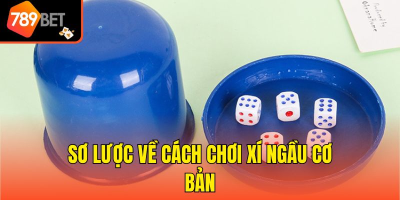 Sơ lược về cách chơi Xí ngầu cơ bản