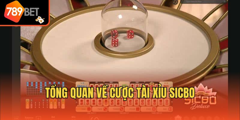 Tổng quan về cược tài xỉu sicbo