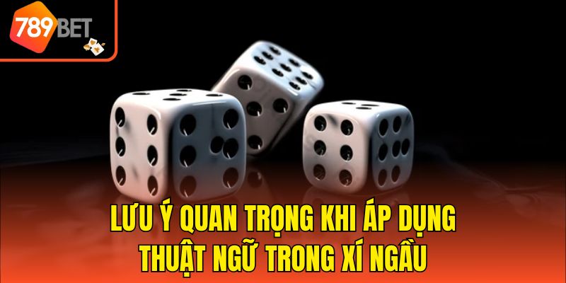 Lưu ý quan trọng khi áp dụng thuật ngữ trong xí ngầu