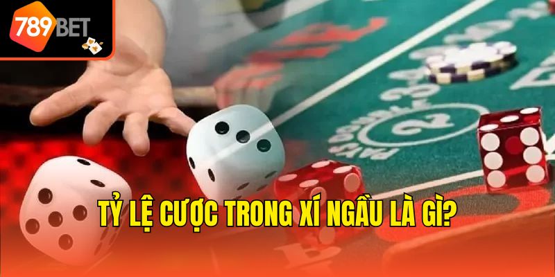 Tỷ lệ cược trong Xí ngầu là gì?