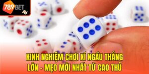 Kinh Nghiệm Chơi Xí Ngầu Thắng Lớn - Mẹo Mới Nhất Từ Cao Thủ