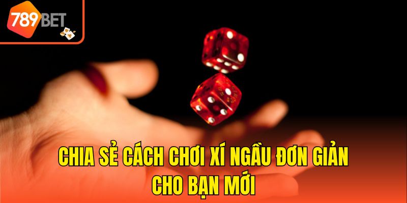 Chia sẻ cách chơi Xí ngầu đơn giản cho bạn mới