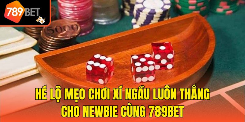 Hé Lộ Mẹo Chơi Xí Ngầu Luôn Thắng Cho Newbie Cùng 789bet