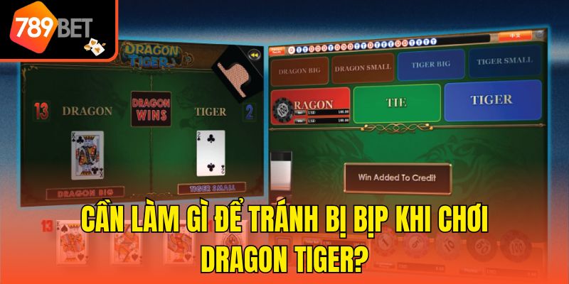 Rồng Hổ Có Bịp Không? Hiểu Dấu Hiệu, Cách Phòng Cùng 789bet 4 Cần làm gì để tránh bị bịp khi chơi Dragon Tiger?