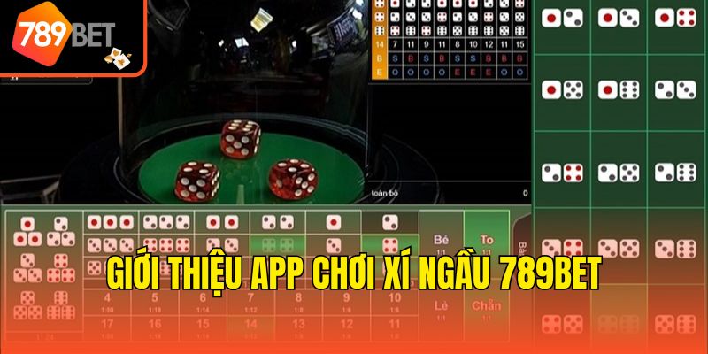App Chơi Xí Ngầu 789bet - Chơi Game Nhanh Nhận Thưởng Khủng 2 Giới thiệu app chơi xí ngầu 789bet